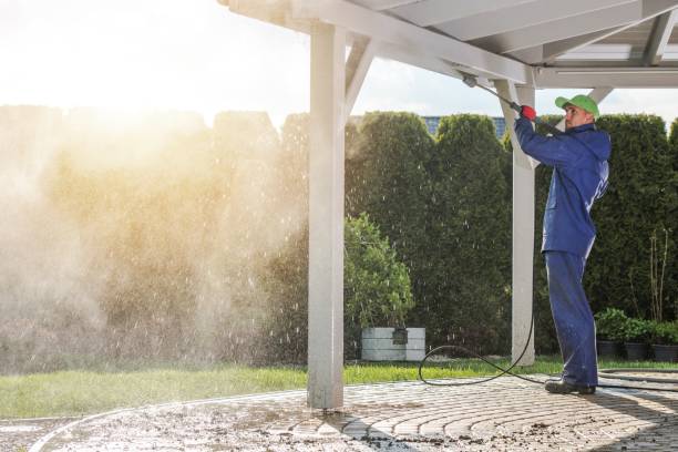 Best Driveway Pressure Washing  in Prospect, PA